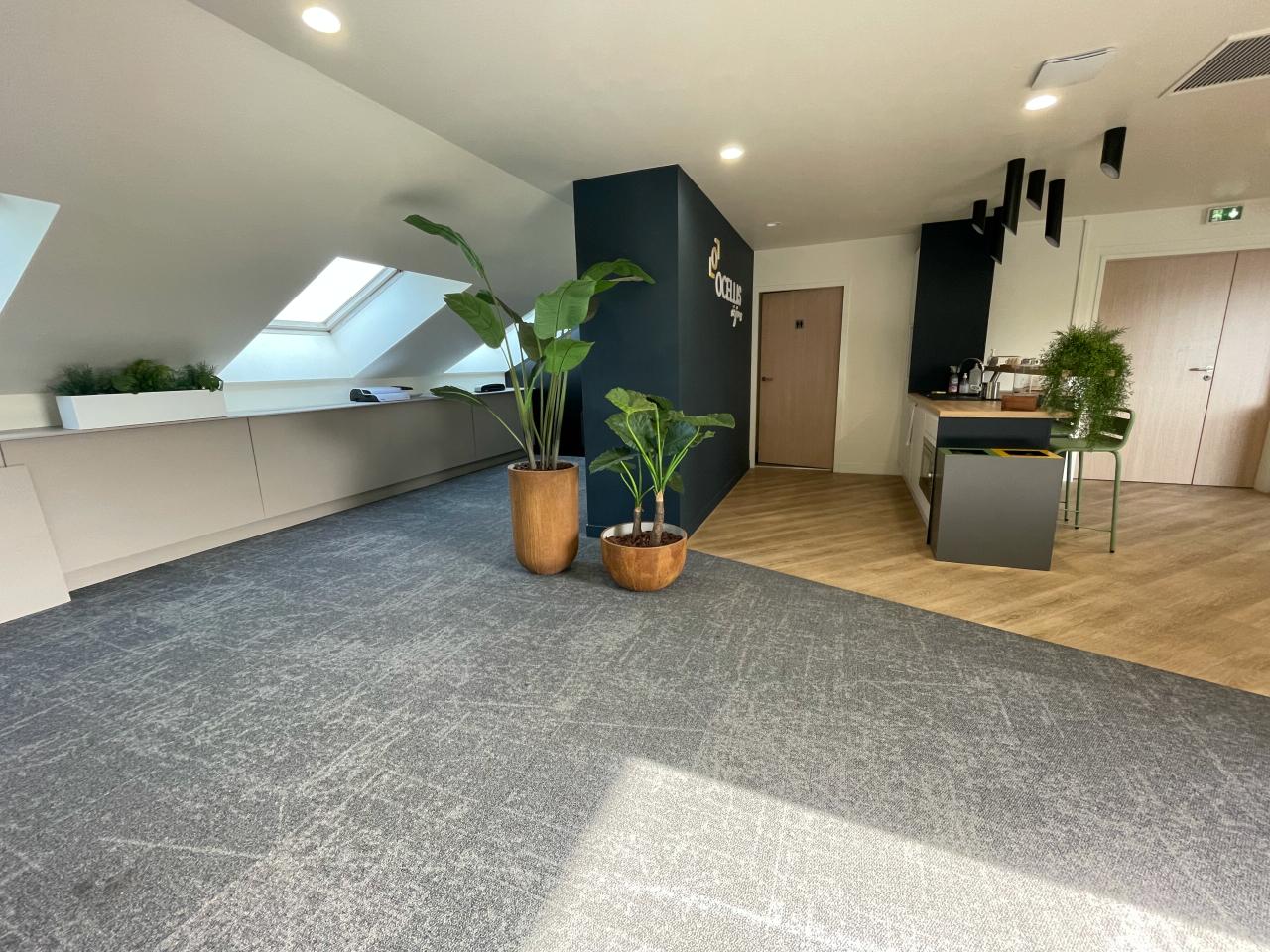 Bureau Lyon 241m² Location bureau Lyon Rhône OLBUR2424182 1